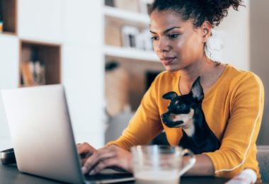 Como comprar ração online?