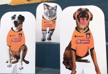 Magnus une esporte e pets em campanha de adoção