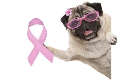 Outubro Rosa pela prevenção de tumores de mama