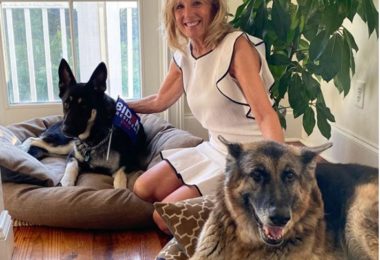 Cachorro de Biden será o “Primeiro-Cão” dos EUA