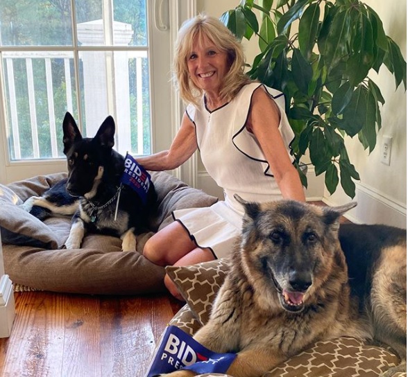 Cachorro de Biden será o “Primeiro-Cão” dos EUA