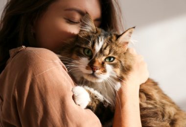 Gatos sempre ronronam de felicidade?
