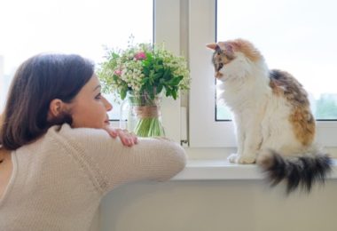 Aprenda a se comunicar melhor com o seu gato