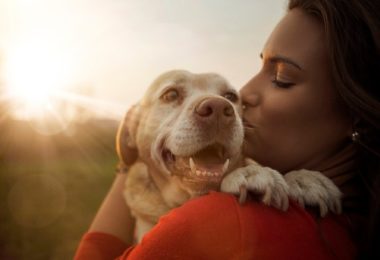 Vai levar seu cão a um espaço pet friendly? Veja dicas para te ajudar! -  abtPet