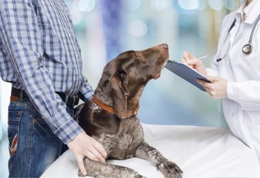 Quais as vantagens da prescrição digital?