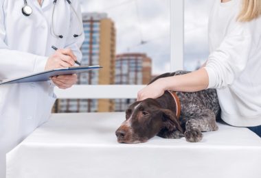O que é a prescrição digital?