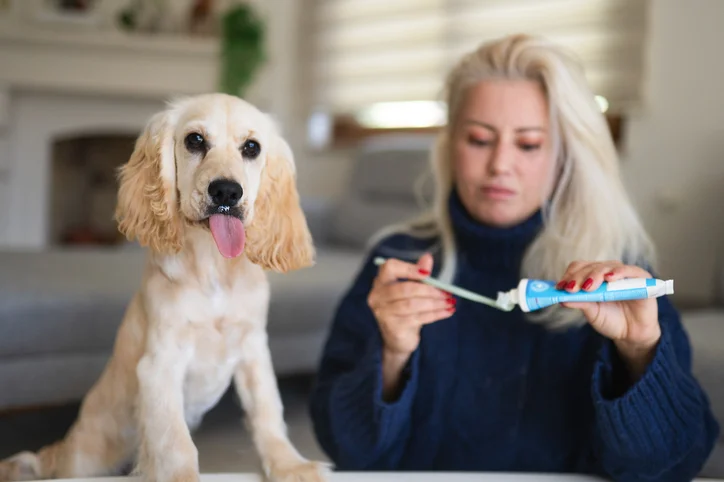 Cachorro com tutora preparando escova com pasta de dente.