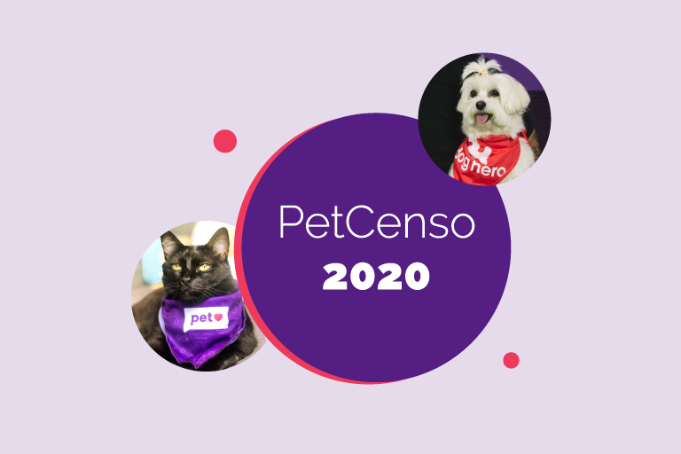Censo felino 2020: as raças e nomes preferidos do ano