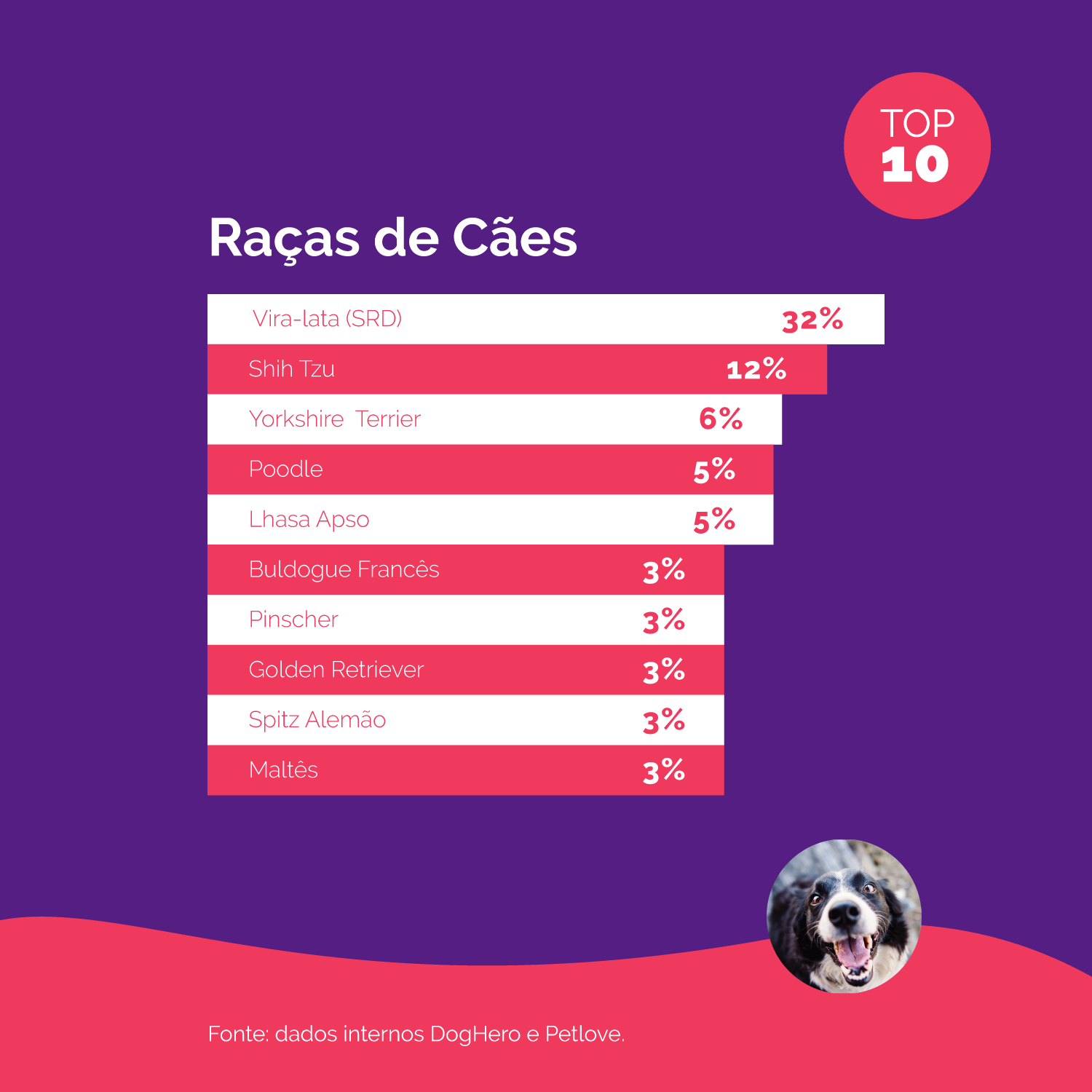 PetCenso Petlove e DogHero 2020