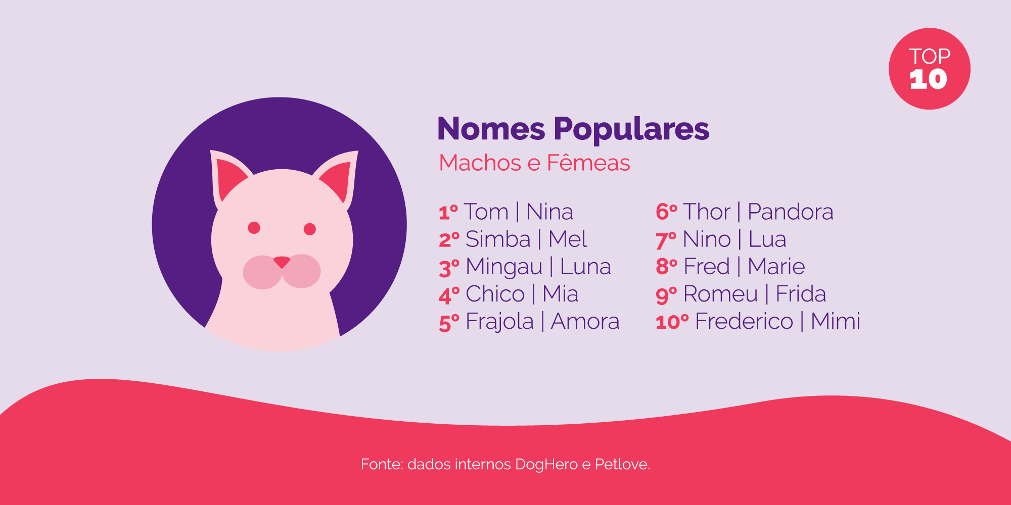 Nome de gatos famosos - Petlove