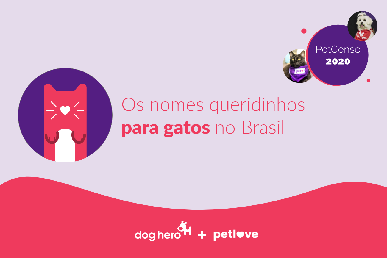 Censo felino 2020: as raças e nomes preferidos do ano