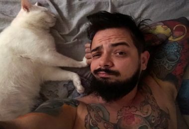 Cinco coisas que só os gatos fazem com os humanos