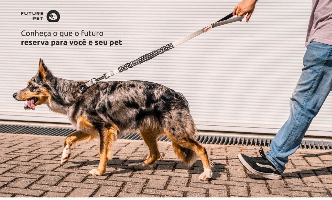Cachorro usando guia future pet
