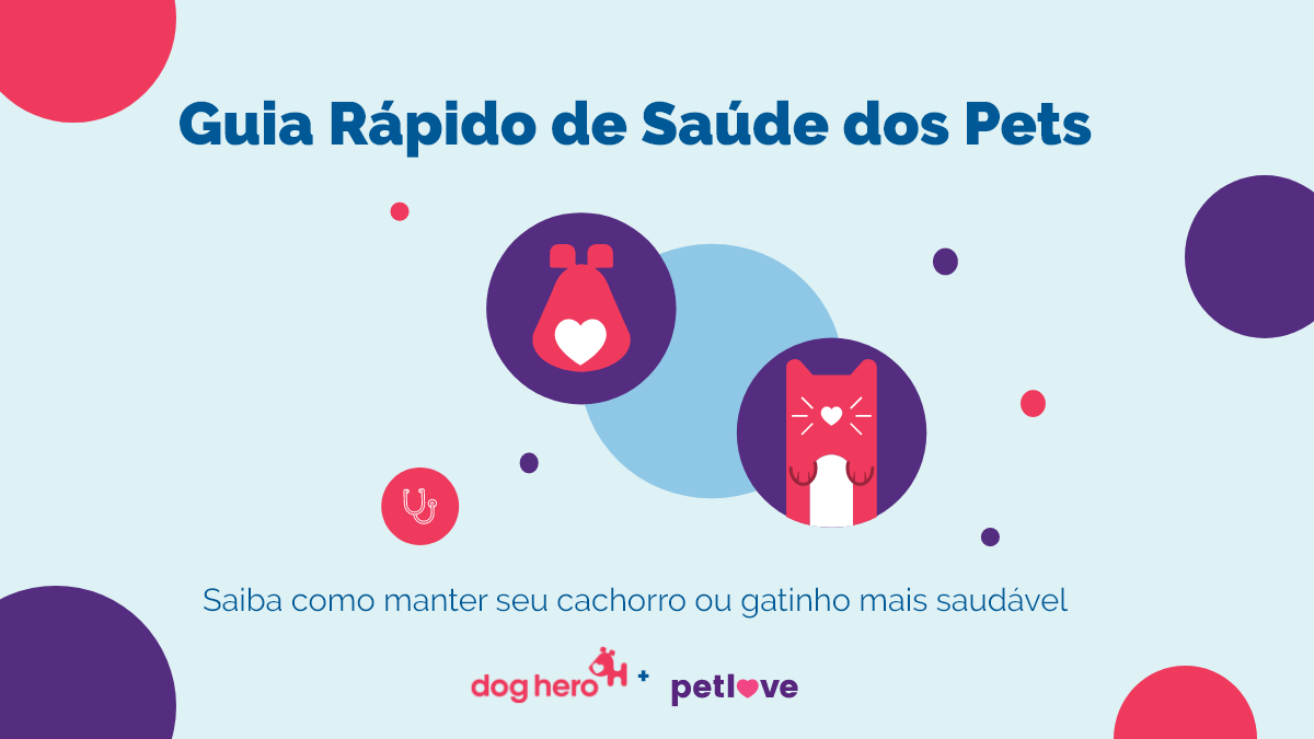 Cuidados com a saúde do pet: guia rápido e gratuito