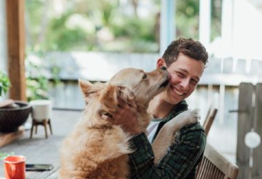 Espanha aprova lei que dá aos pets direitos legais semelhantes a humanos