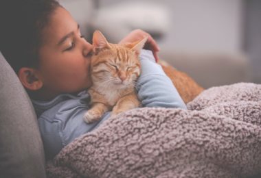 5 produtos para proteger seu gato do frio