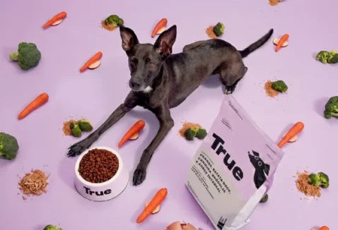 Ração True é boa para cães e gatos? Confira a análise!