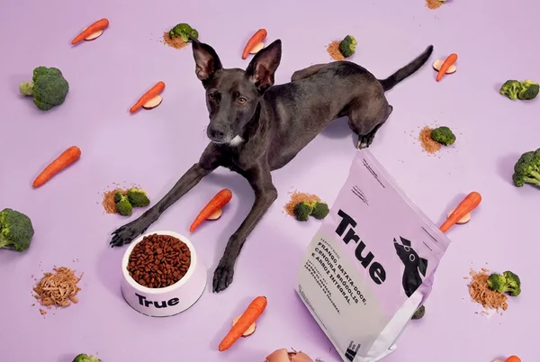 Ração True é boa para cães e gatos? Confira a análise!