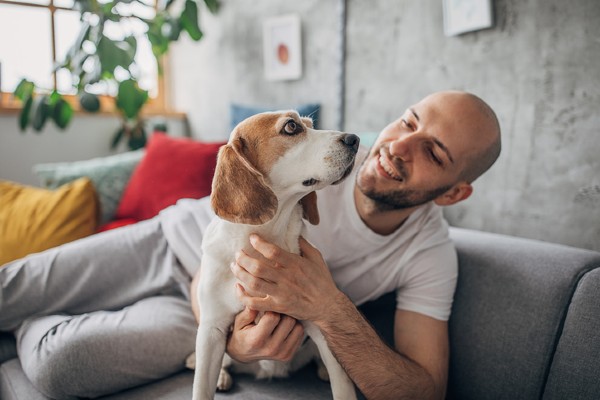 Beagle e um homem no sofá