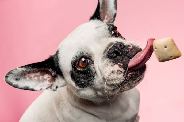 Petlove se une ao Burger King em prol da causa pet