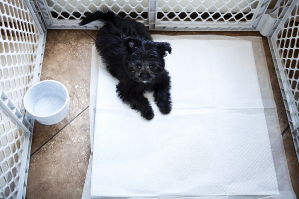 Tapete Para Cercadinho De Cachorro - Octogonal 24" Lavável E Absorvente
