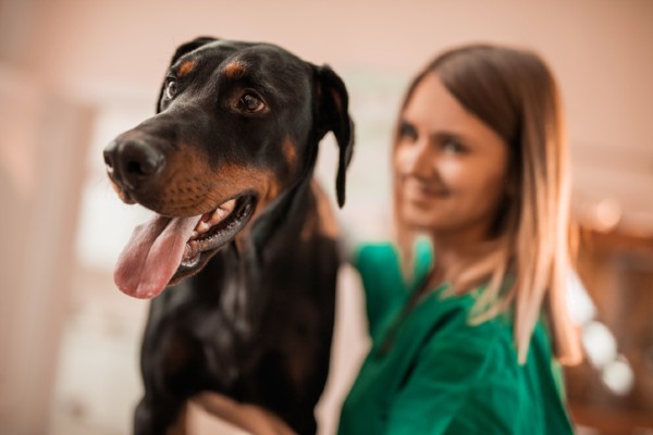 Mulher com um Doberman