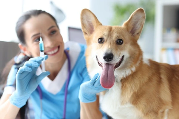 Por quantos dias pode atrasar a vacina do meu cachorro?