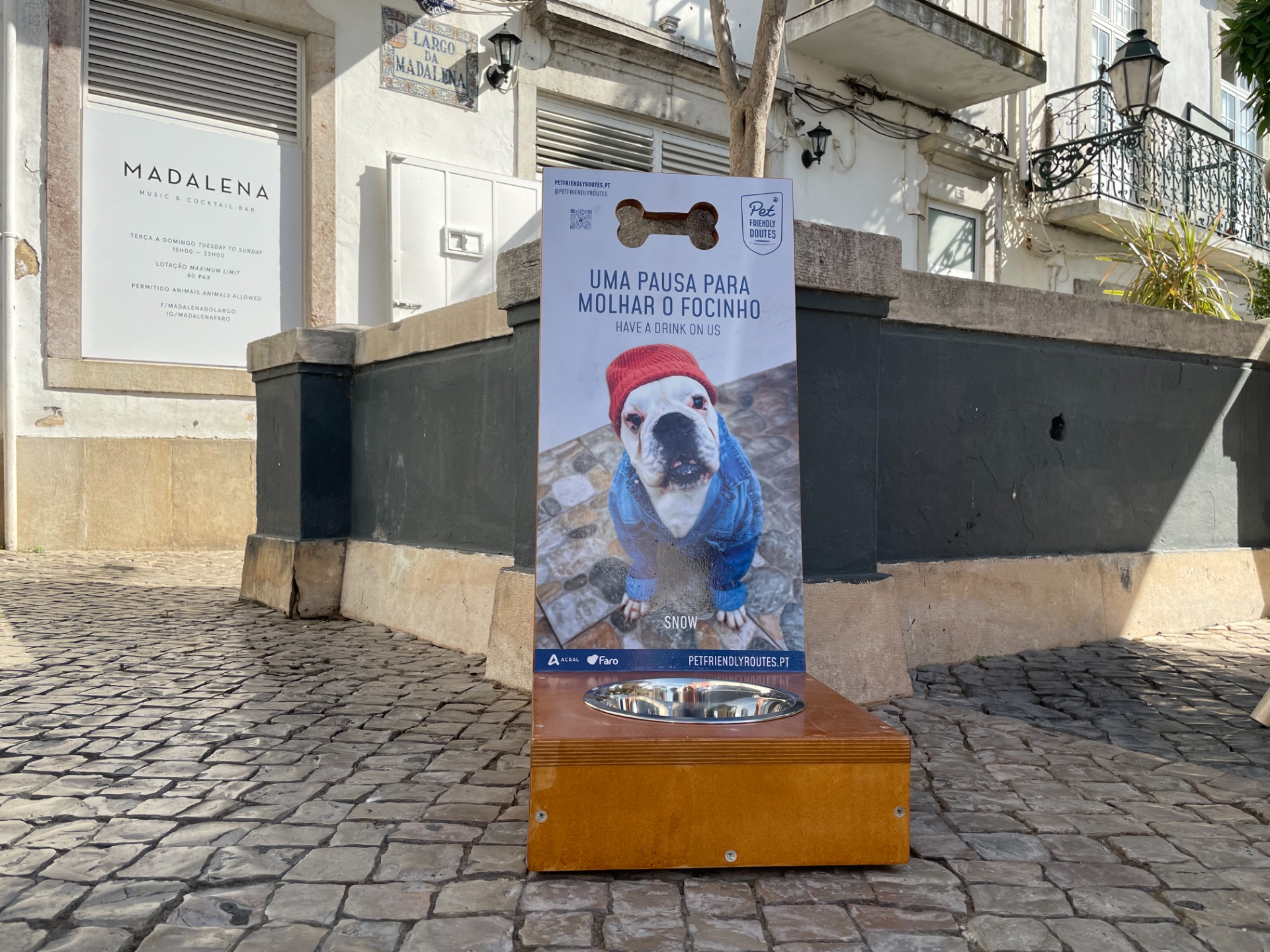 bebedouro do projeto Pet-Friendly Routes