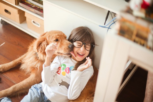 Por que meu cachorro me lambe? Saiba mais! Petlove
