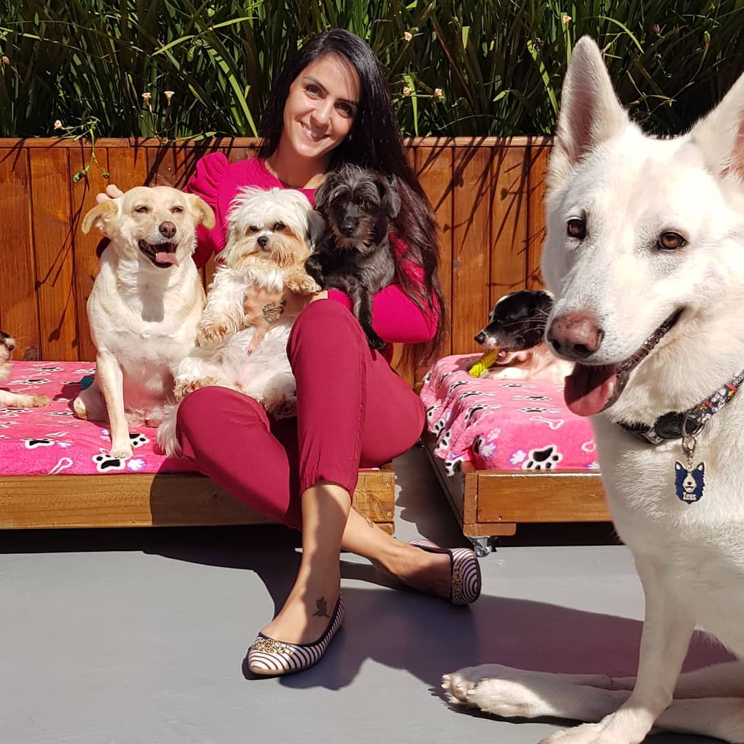 Parceria @asjoiasdalu e Petlove já doou quase 20 toneladas de ração