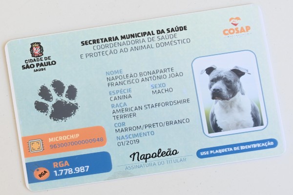 Identidade para pets: Prefeitura de São Paulo lança versão eletrônica