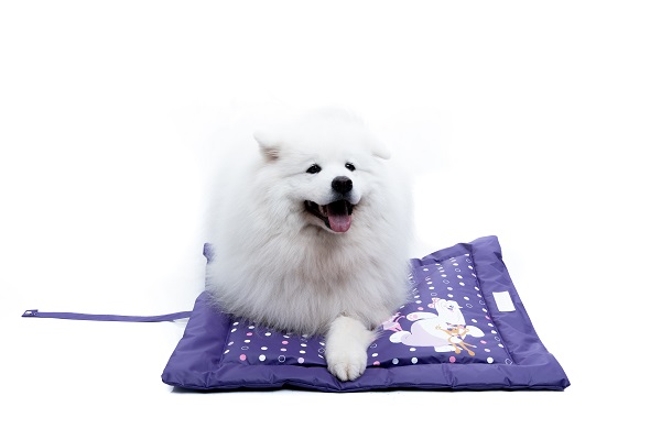 Você já viu nossos brindes exclusivos de Pet Friday?