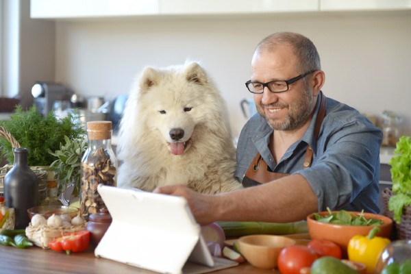 Cachorro pode comer espinafre?