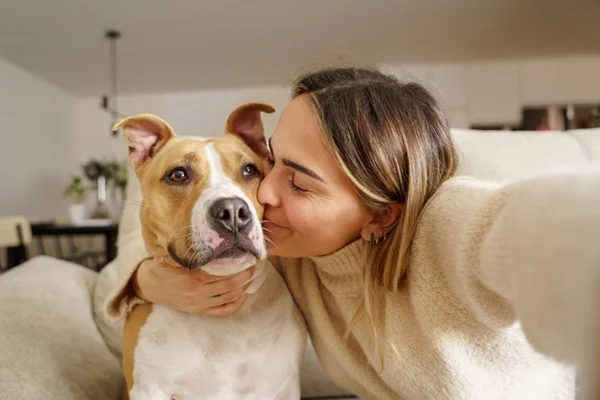 Cachorro com tutora abraçada.