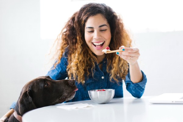 Cachorro pode comer lichia?