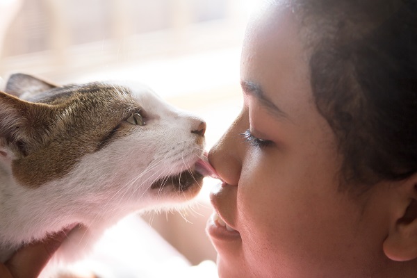 Gato lambendo nariz de pessoa