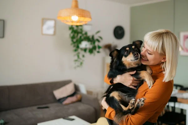 Cachorro com pet sitter.