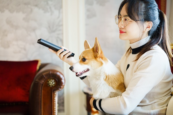 Cachorro no colo de tutora que segura controle remoto
