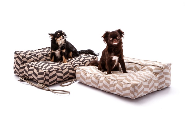Conheça a Snooze, marca de produtos artesanais para cães e gatos