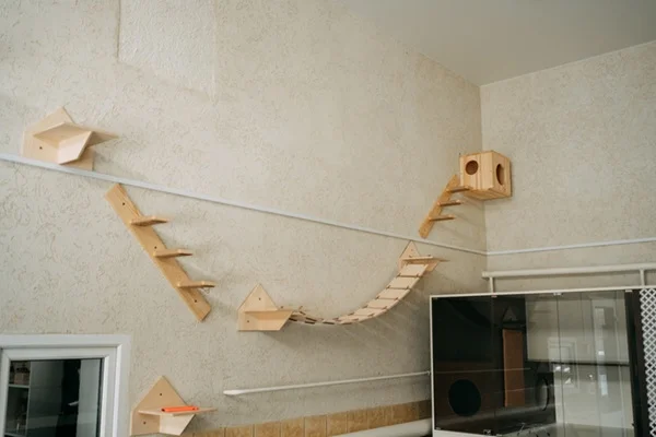 Enriquecimento ambiental para gatos.
