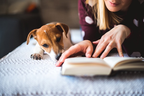 LINGUAGEM do CACHORRO e os SINAIS de CALMA - Guia completo