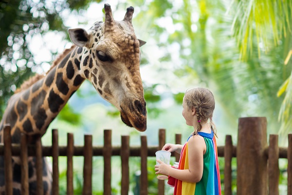 Criança no zoológico com girafa
