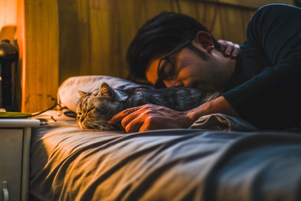 Gato dormindo com dono.