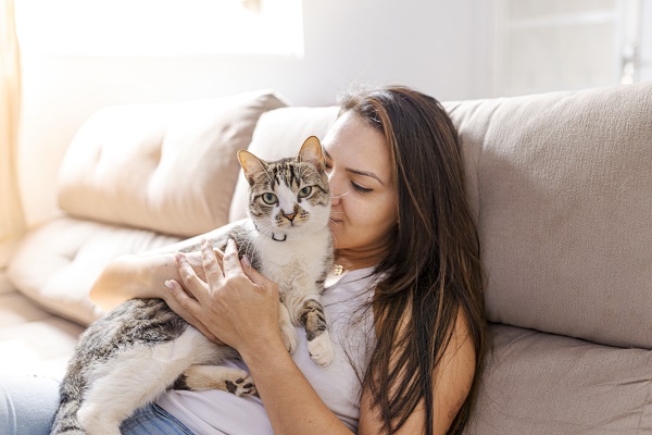 Gato deitado com mulher no sofá