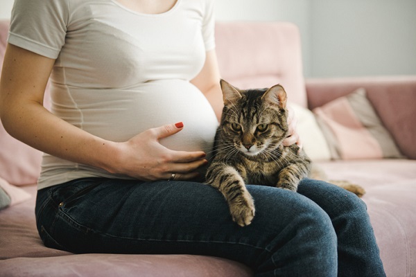 Dica do dia, não se envolvam com mulher que esteja grávida de