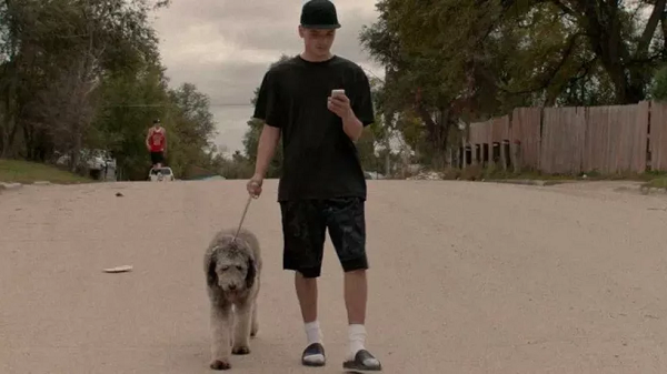 homem e cachorro caminhando em uma estrada de terra