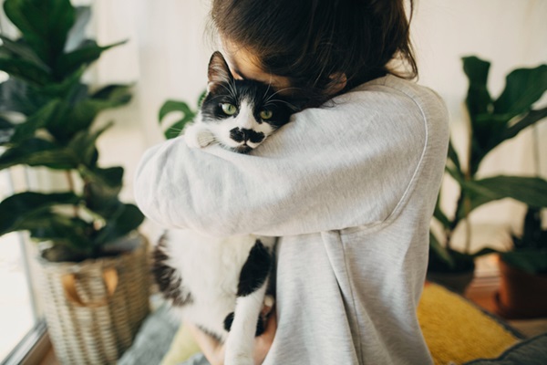 Gato em casa.