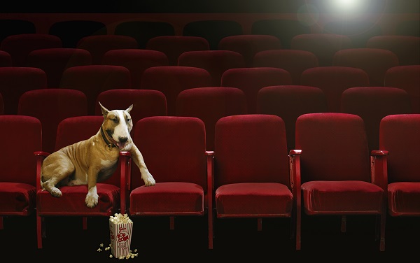Regulamento da “DC Liga dos Superpets” FreeFaro