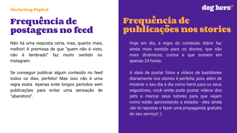 Seis formas de fazer um cachorro comer mais devagar
