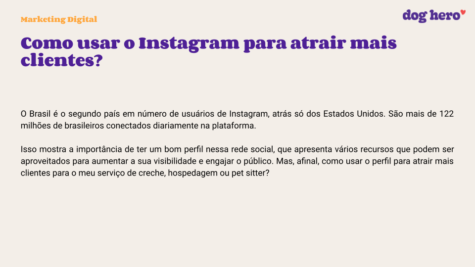 Como cuidar de um ferret, o furão de estimação